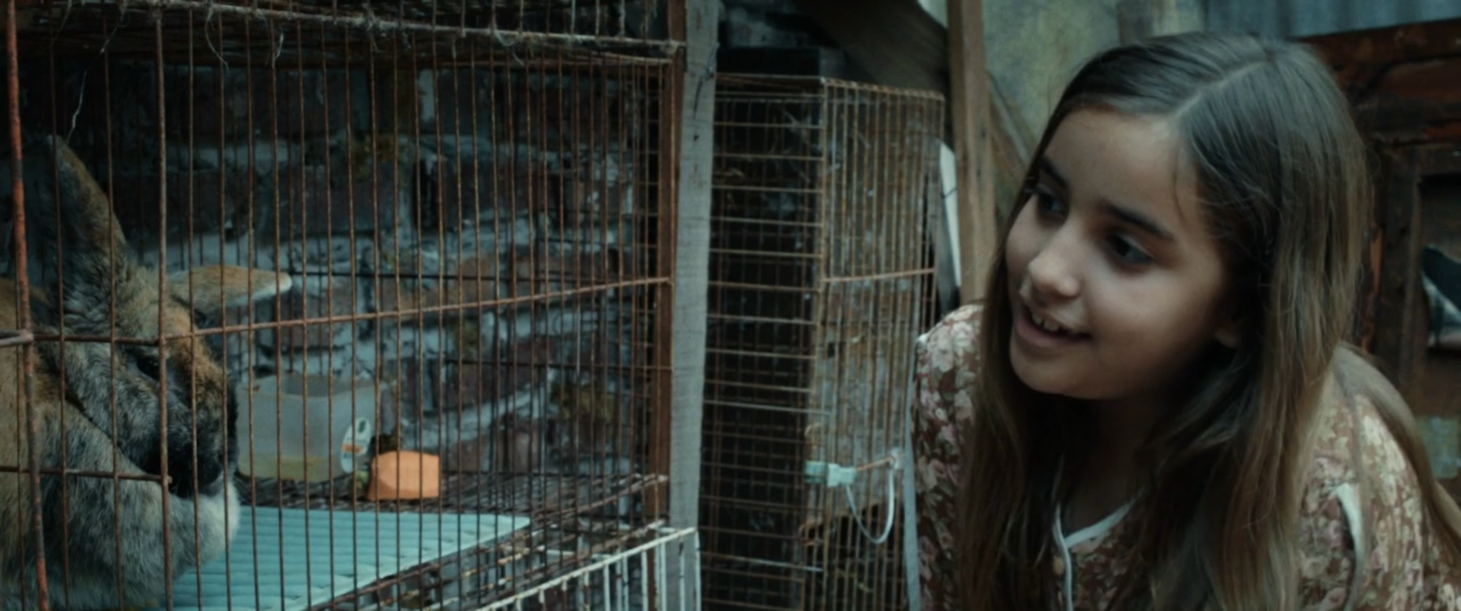 la-casa-de-los-conejos-3